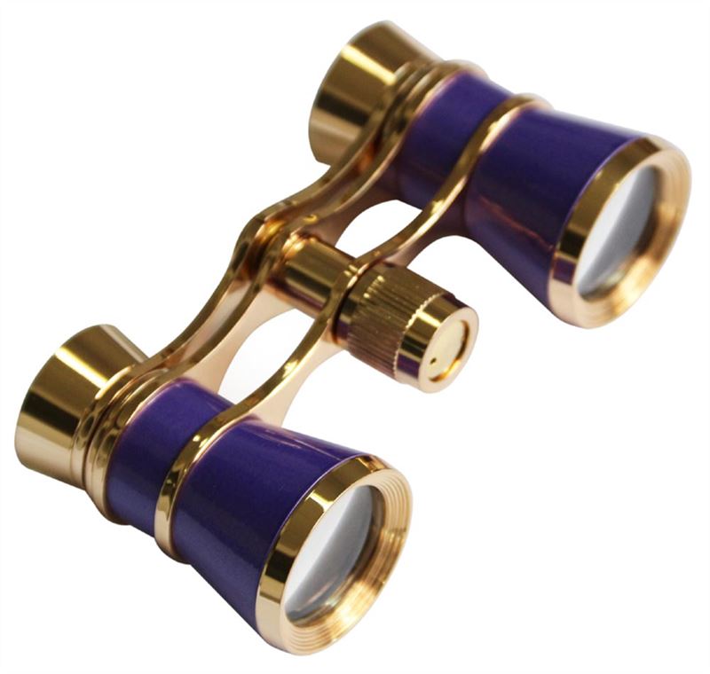 Levenhuk Dalekohled Broadway 325C Amethyst